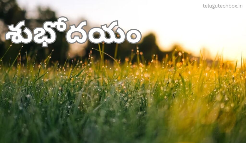 Top 21+Good Morning Images In Telugu